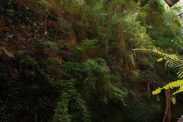 Apartamento novo e decorado para 4 pessoas.